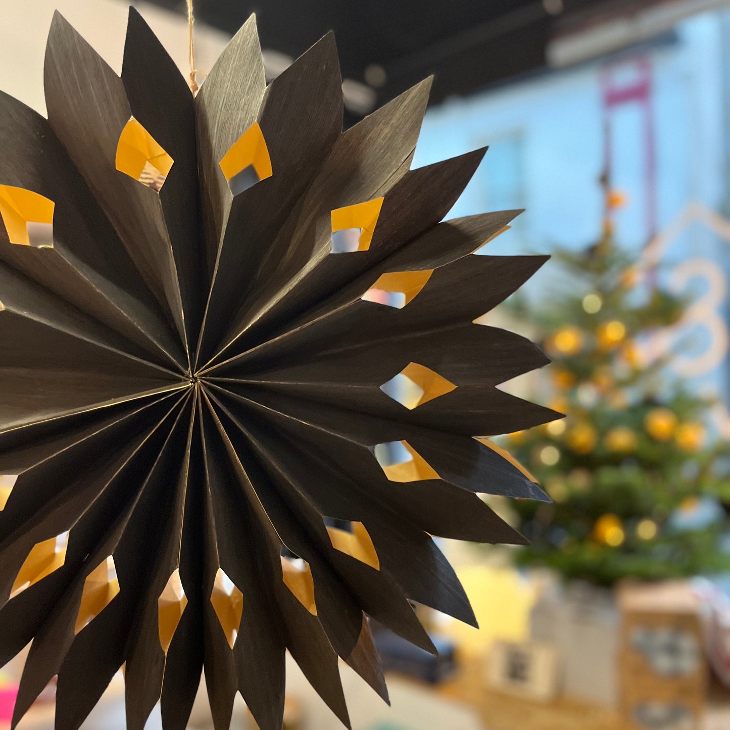 Veneer Star Light