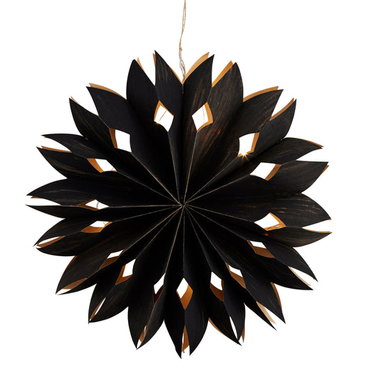 Veneer Star Light