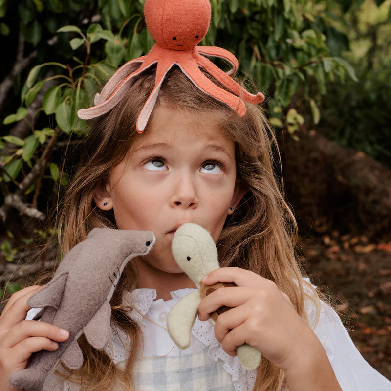 Marine Animals | Holdie Folk