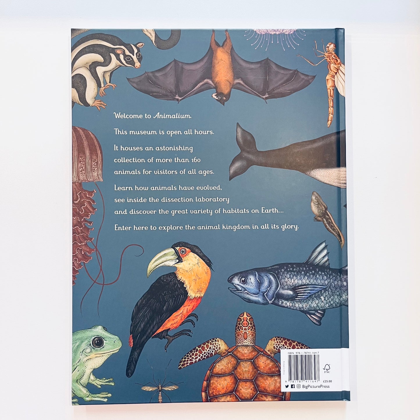 Welcome to the museum | Animalium