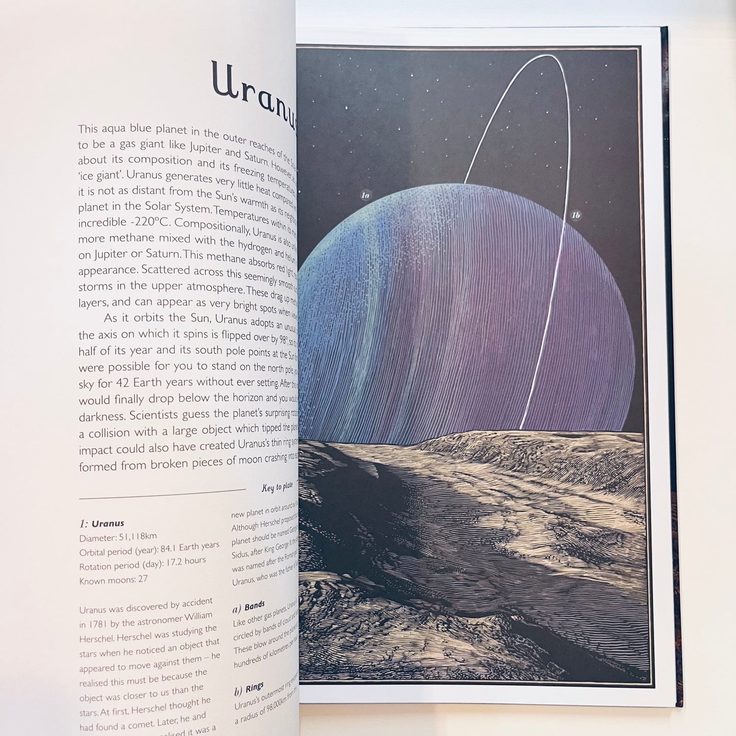 Welcome to the museum | Planetarium