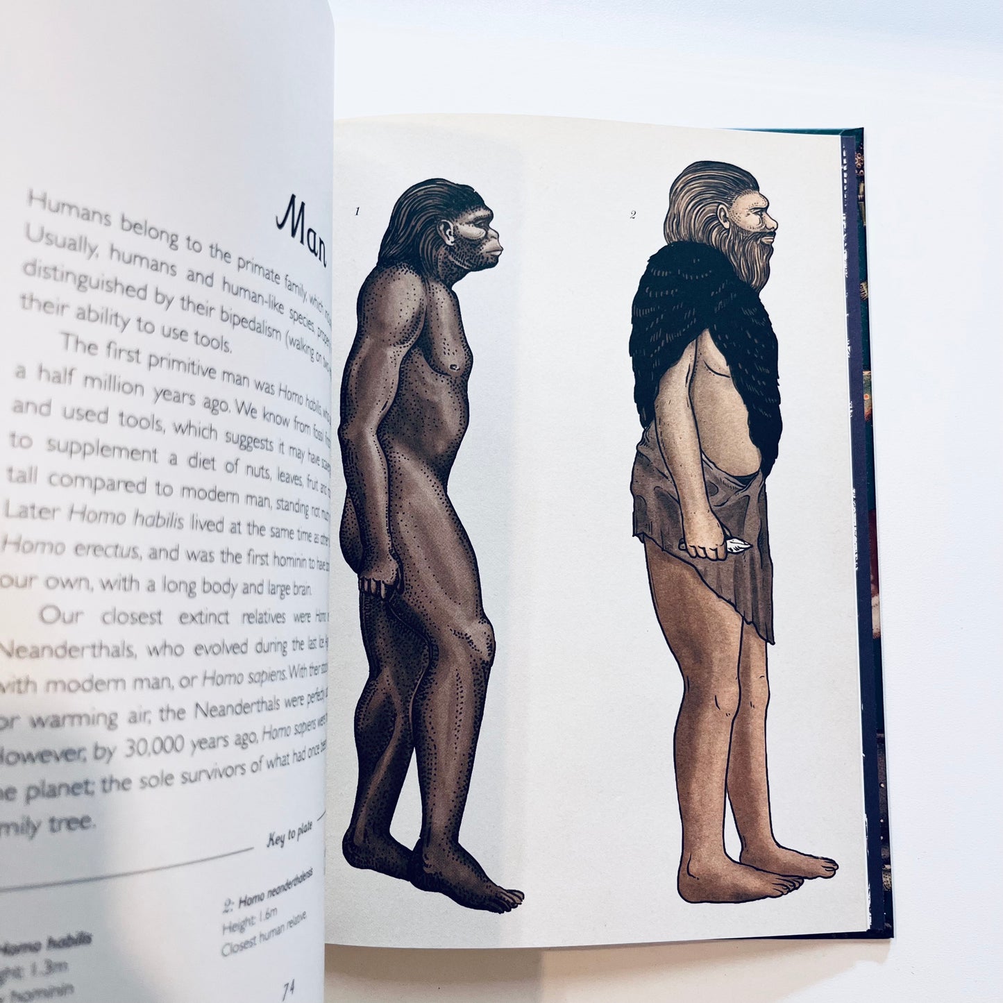 Welcome to the museum | The Story of life EVOLUTION