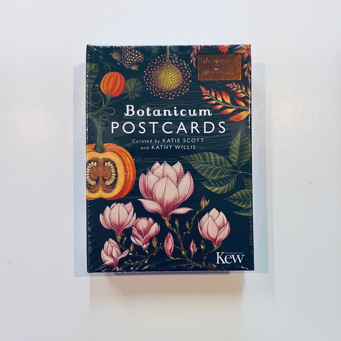 Welcome to the museum | Botanicum Postcards