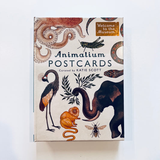 Welcome to the museum | Animalium Postcards
