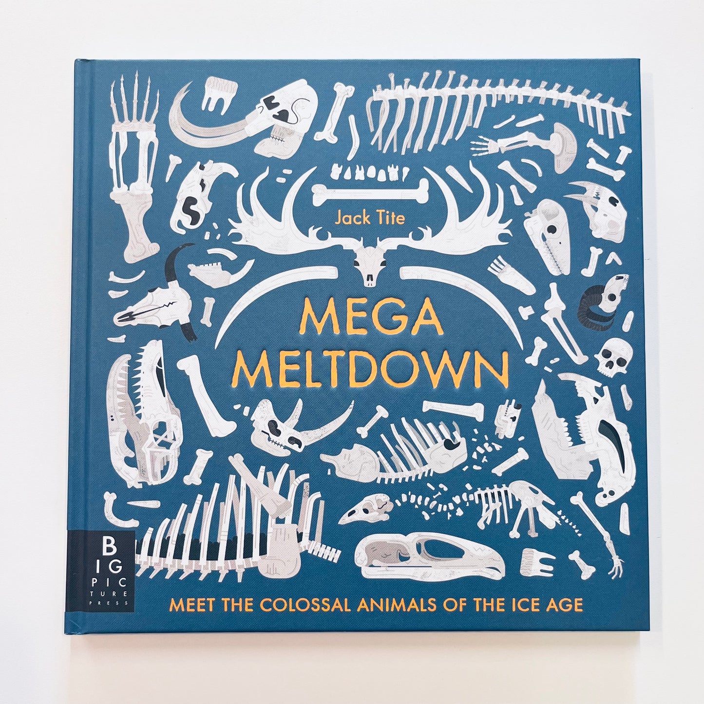 Mega Meltdown