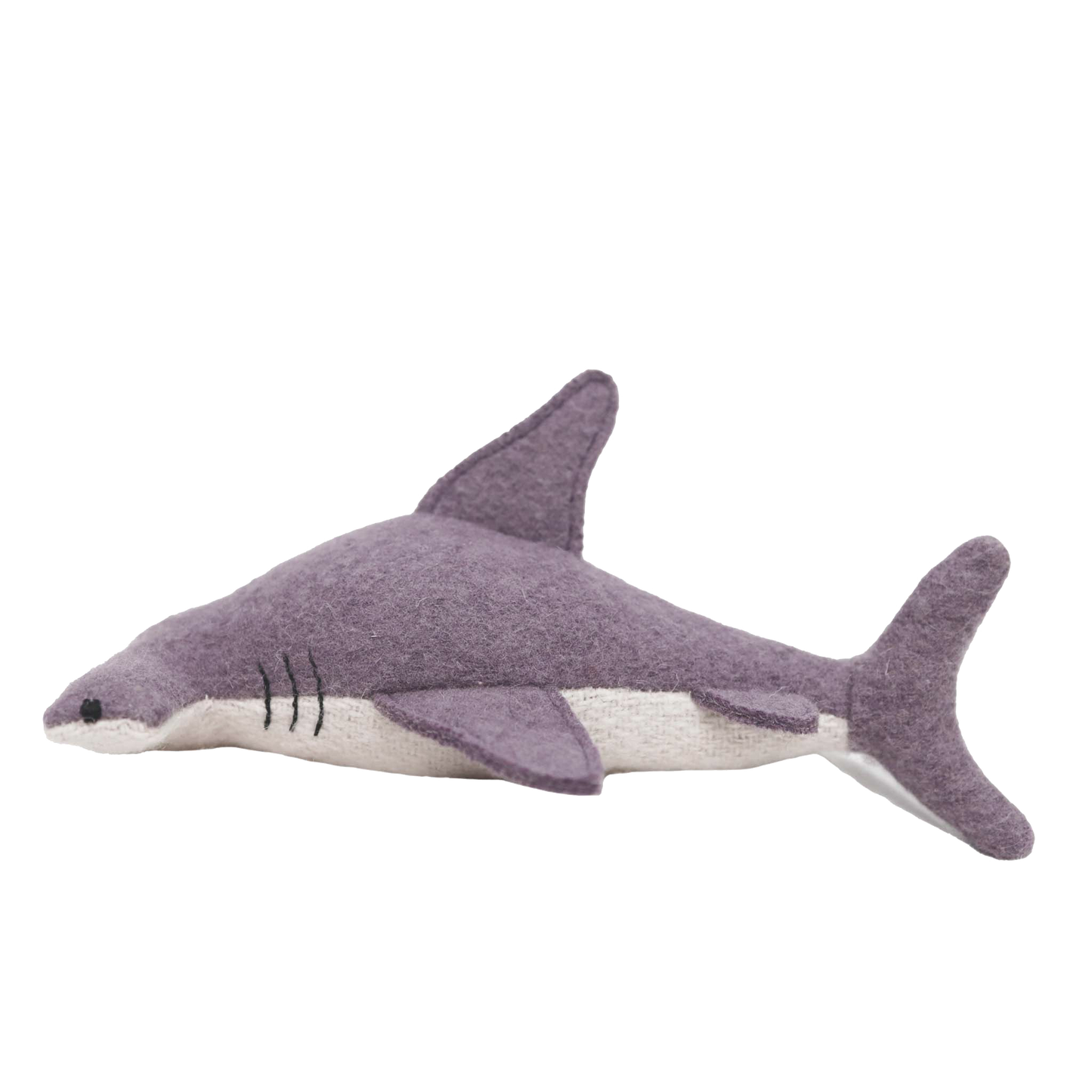 Marine Animals | Holdie Folk