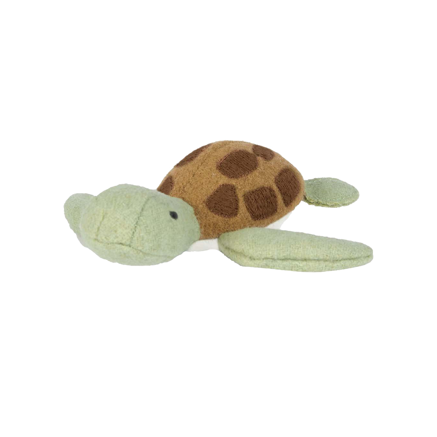 Marine Animals | Holdie Folk